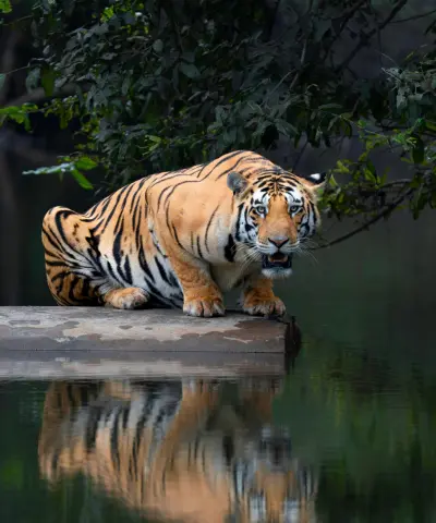 West Bengal